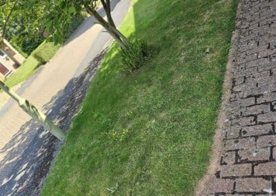 777 landscaping facebook gallery 11