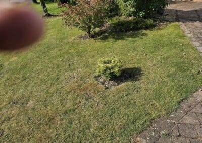 777 landscaping facebook gallery 16
