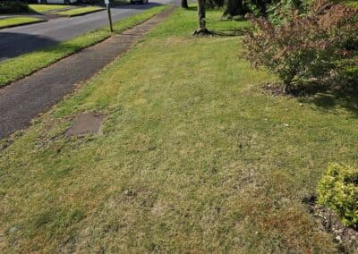 777 landscaping facebook gallery 17