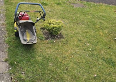 777 landscaping facebook gallery 2